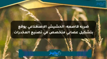 ضربة قاصمة: الحشيش الاصطناعي يوقع بتشكيل عصابي متخصص في تصنيع المخدرات